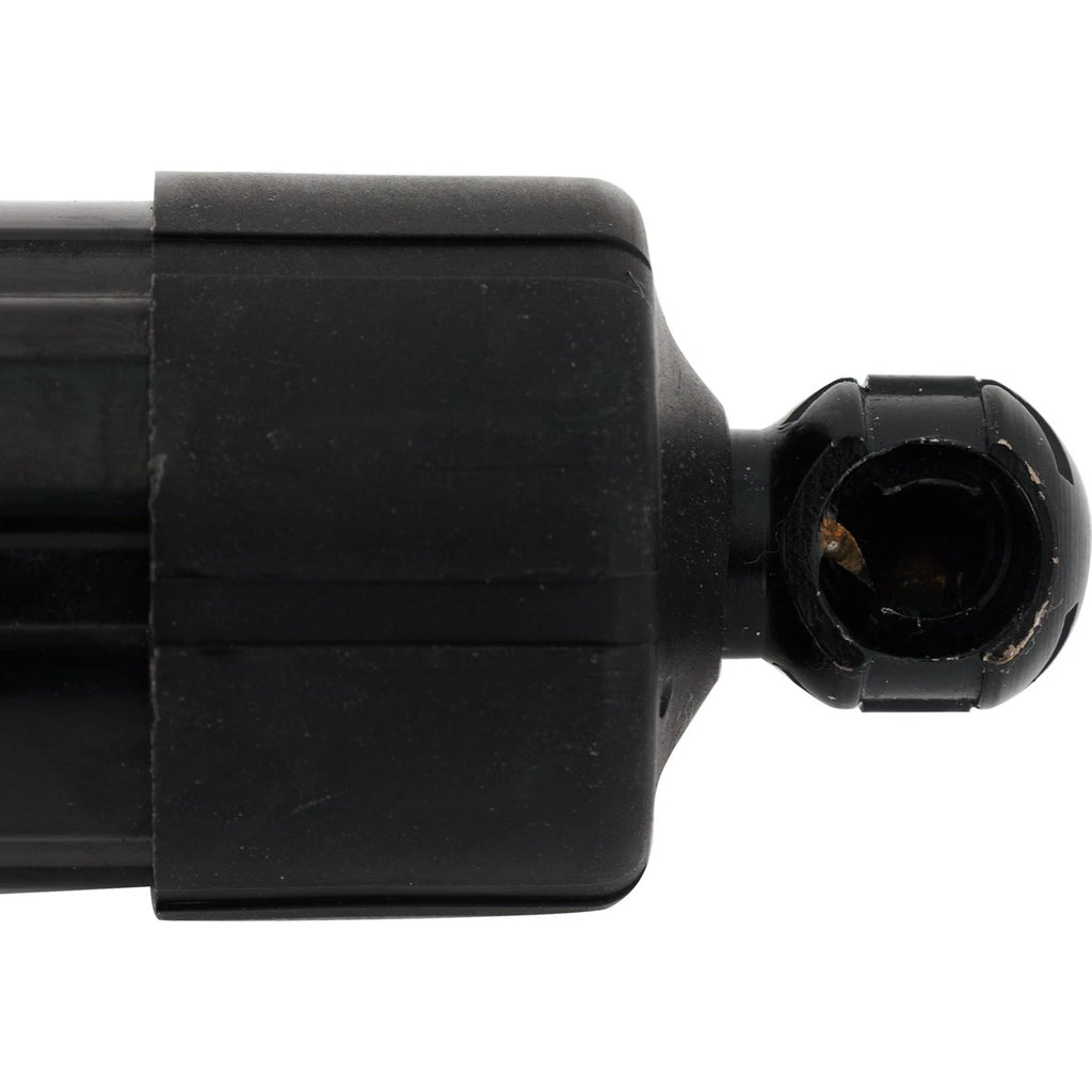 Liftgate Lift Supports for Honda Pilot (2019–2022)