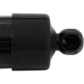 Liftgate Lift Supports for Honda Pilot (2019–2022)