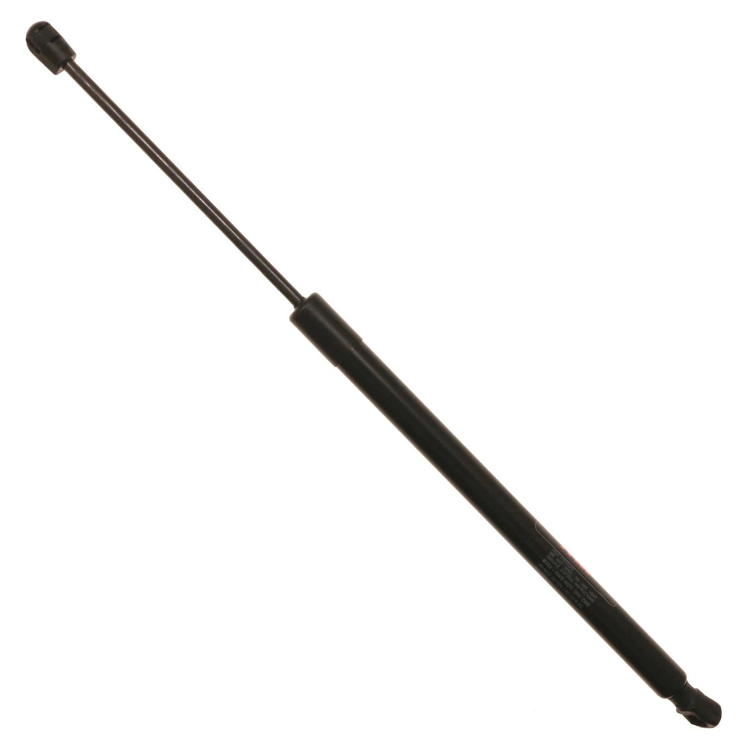 Hatch Lift Support for Ford Escape (2008–2012)
