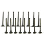Exhaust & Intake Valves for Hyundai Accent/Kia Rio (2001–2011)