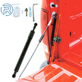 Tailgate Assist Lift Support Shock Struts for Ford F-150 (2004–2014)