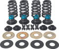 Valve Spring Kit for Harley-Davidson BT (2005–2017) - .585in
