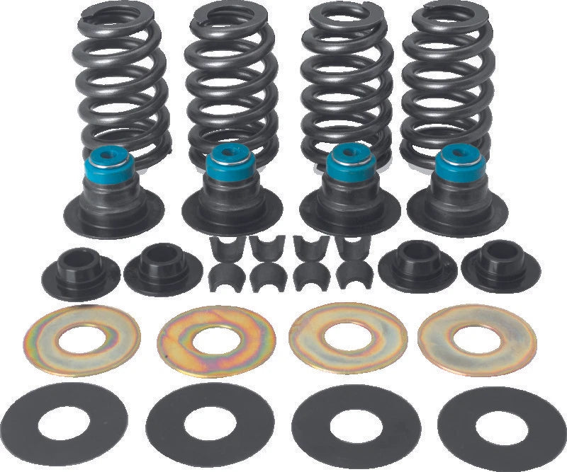 Valve Spring Kit for Harley-Davidson BT (2005–2017) - .585in