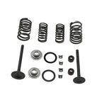 Cylinder Valve Rebuild Set for Sunl Taotao 70cc 90cc 110cc Engines