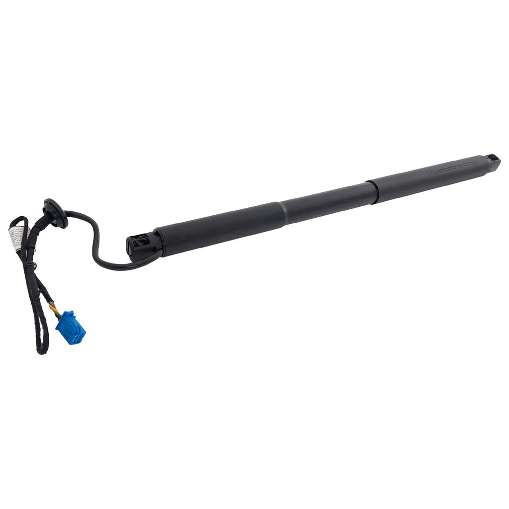 Liftgate Lift Supports Set of 2 for MB Mercedes