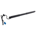 Liftgate Lift Supports Set of 2 for MB Mercedes