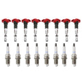 Set of 8 Ignition Coils & Denso Platinum TT Spark Plugs for Audi Porsche VW