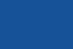 Stainless License Plate Frame with Blue Vinyl Inlay for 2010–2013 Mustang