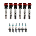 Set of 6 Ignition Coils & Iridium Spark Plugs for Audi A4 A6 Quattro