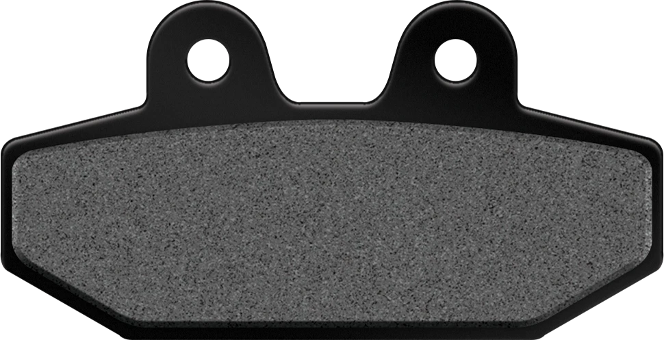 Sintered Brake Pads for Harley Davidson V-Twin (2018)