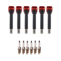 Set of 6 Ignition Coils & Spark Plugs for Audi A4 A5 Quattro (2005–2009)