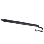 Liftgate Lift Supports Set of 2 for Audi Q3
