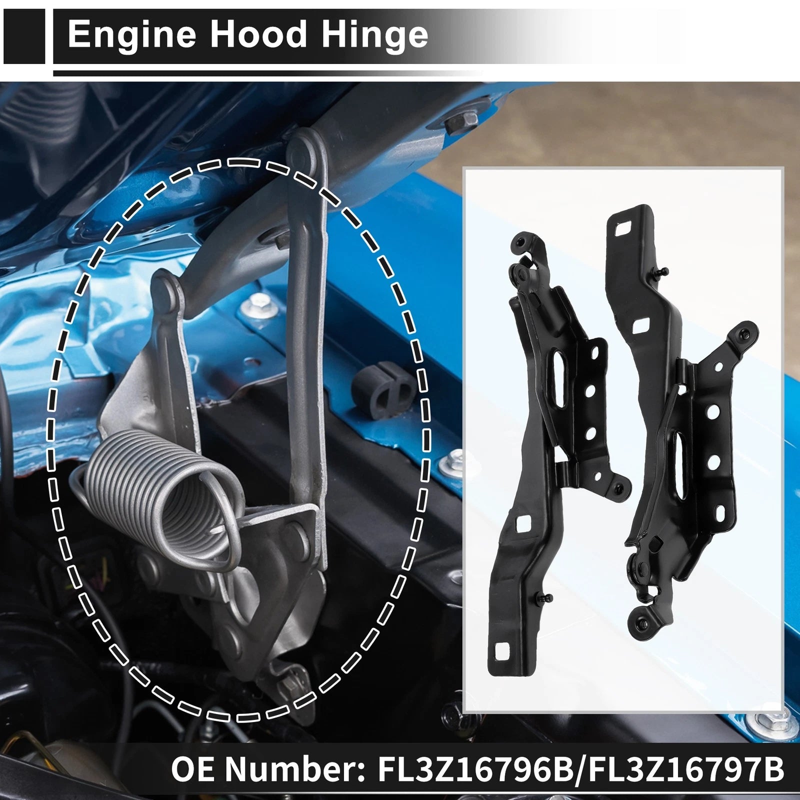 Hood Hinges for Ford F-150 (2015–2020) No.FL3Z16796B 1 Pair