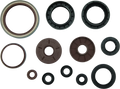 Oil Seal Set for Arctic Cat 1000 TRV (2009–2010)
