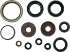 Oil Seal Set for Arctic Cat 1000 TRV (2009–2010)