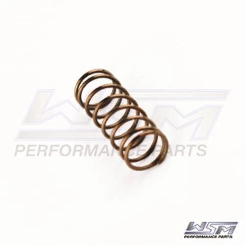 Power Valve Spring for Sea-Doo 951 DI (2000–2007) 010-034