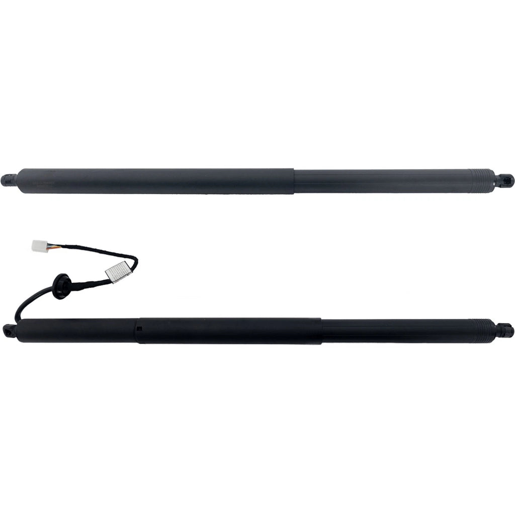 Liftgate Lift Supports Set of 2 for X Pair