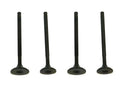 WSM Engine Valve Kit for Honda TRX 400 / 500 (1999–2011) - 017-025