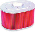 HIFLOFILTRO Air Filter for Honda (HFA1905) (2010–2023)