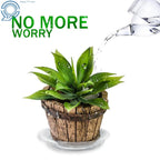 Set of 5 Clear Plastic Drip Trays for Garden Plants 8 Inch