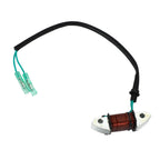 Lighting Coil Assembly for Yamaha C 25HP 30HP (1992–2012) 61N-81313-09-00