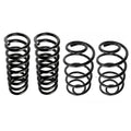 Coil Springs Kit for Caballero Regal 5.0 5.7 (1978–1987)