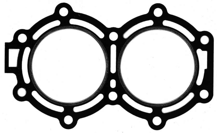 WSM Gasket for