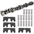 Camshafts & Hydraulic Lifters for Chevrolet Express 1500 2500 3500