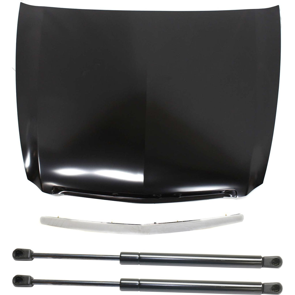Hood Kit for Acura TL (2004–2005) - Lift Support and Molding Set of 4