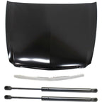 Hood Kit for Acura TL (2004–2005) - Lift Support and Molding Set of 4