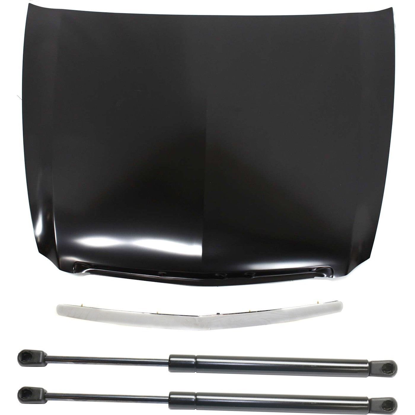 Hood Kit for Acura TL (2004–2005) - Lift Support and Molding Set of 4