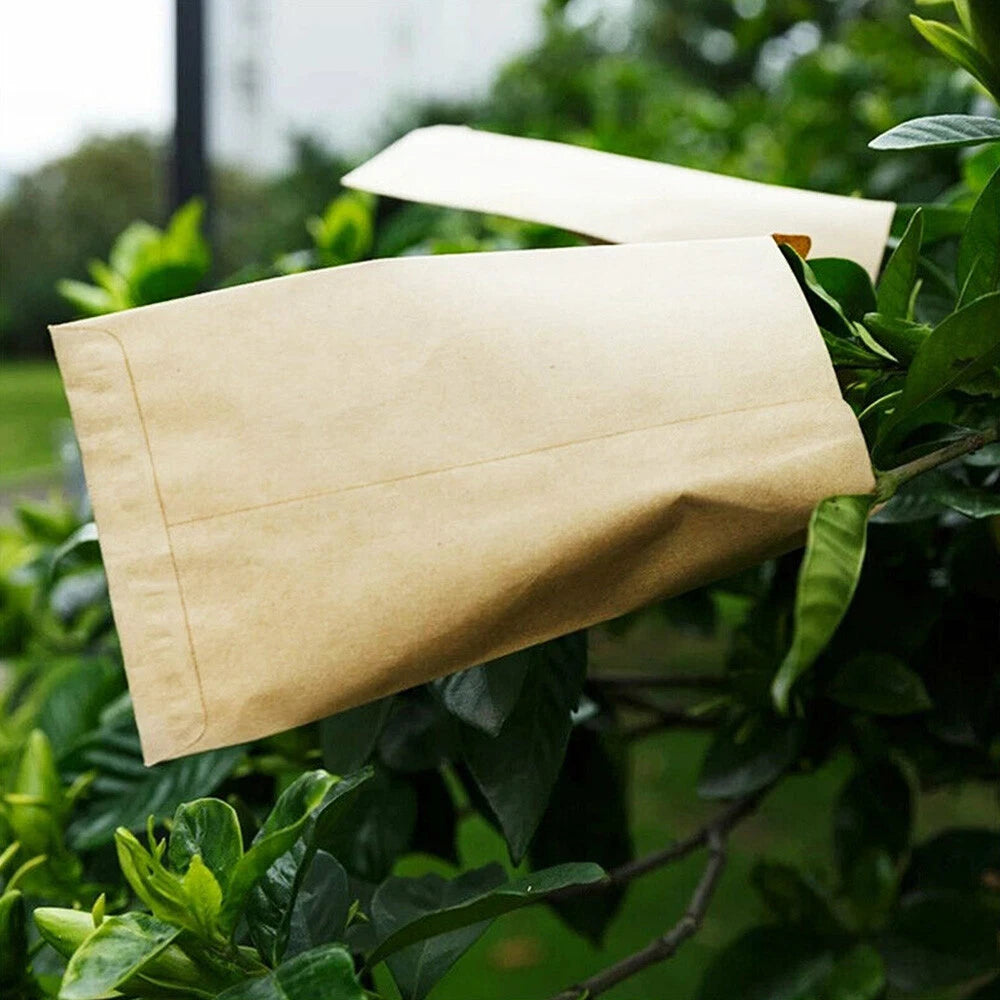 Set of 50 Kraft Paper Seed Packets Mini Envelopes 6x11cm