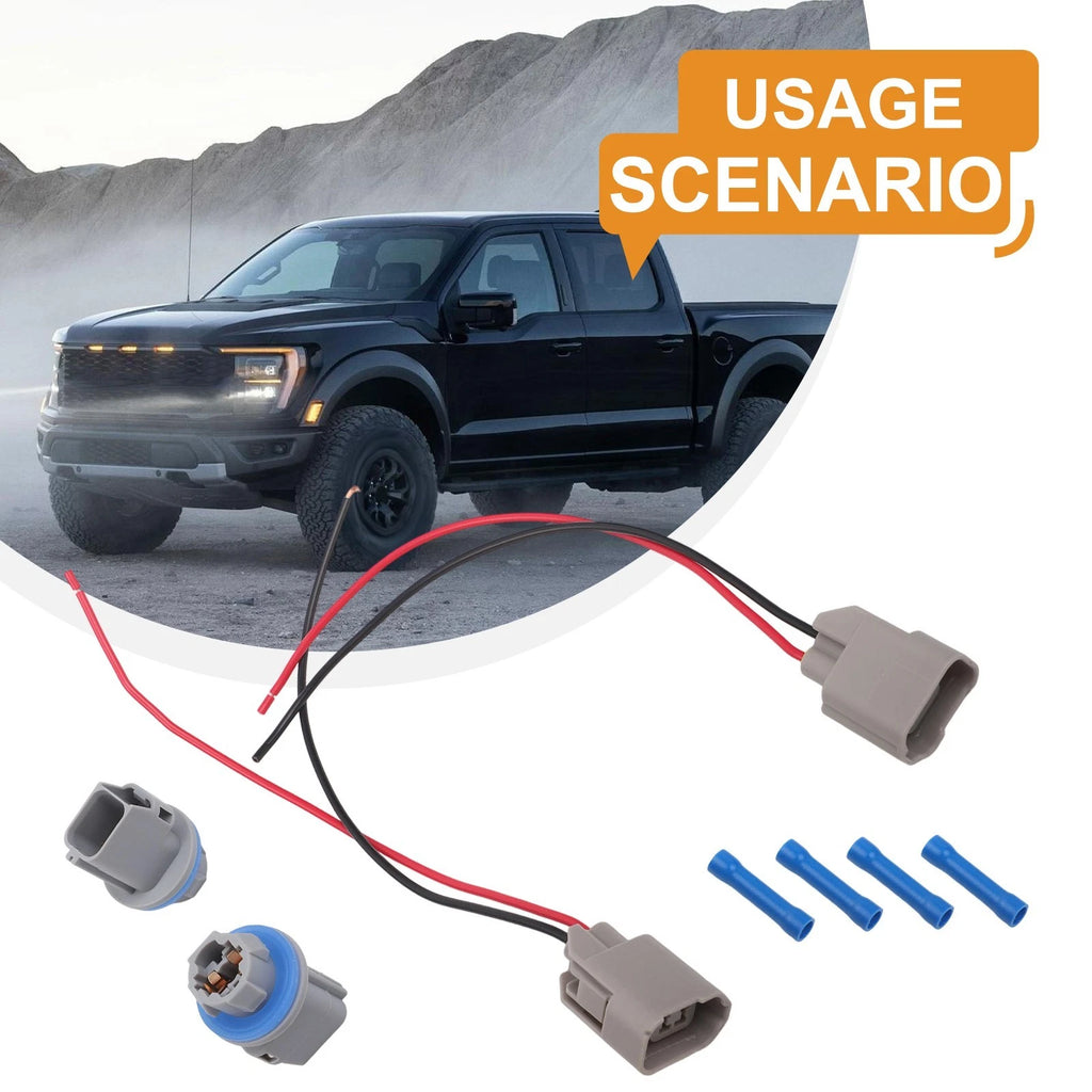 Rear License Plate Light Socket with Wiring for Ford (F81Z13411AA)