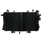 Radiator Cooler for Suzuki B-King GSX1300BK (2008–2013)