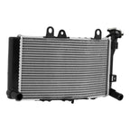 Radiator Cooler for BMW F750GS / F850GS (2019-2024)
