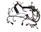 Wiring Harness for Johnson Evinrude 115hp (2007–2009) 0586891