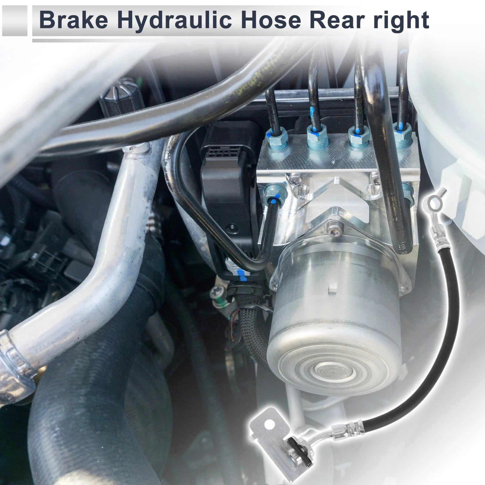 Brake Hydraulic Hose for Hyundai (No. 587384Q000)