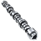 Camshaft for Chevy Silverado 1500 GMC Sierra 1500 (1999–2006)