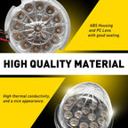 Watermelon LED Bulb Light for Clear Glass Lens (Amber Blue) with Chrome Ring