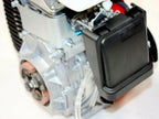 49cc 142F OHV Engine for Motorised Push Bike ESKY Scooter