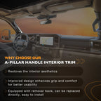 A Pillar Interior Trim Grab Handles for Lincoln Mark LT (2004-2008)
