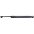 Lift Support for Volkswagen Jetta (2005–2010) Trunk Lid