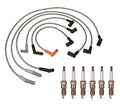 Denso Wire Set & 6 Double Platinum Spark Plugs for Ford 4.2L V6