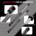 Rear Trunk Lift Supports for Dodge Challenger (2008-2021) Coupe (2Pcs)