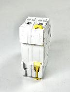 Mini Circuit Breaker iC60L C25 for Schneider Electric A9F94225
