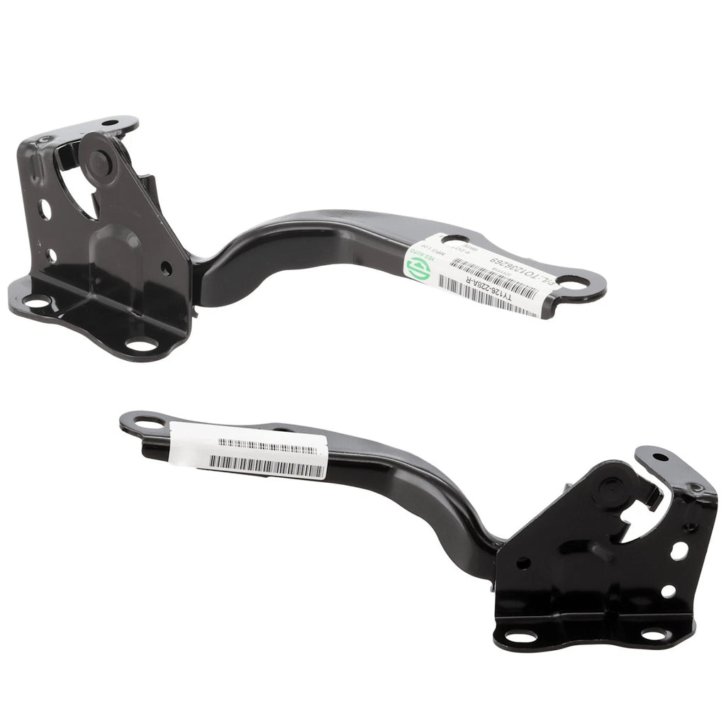 Set of 2 Hood Hinges for Solterra bZ4X