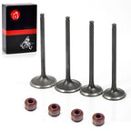 Intake & Exhaust Valve Kit for Honda CRF250R CRF250X (2004–2017)