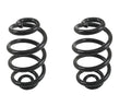 Set of 2 Rear Suspension Coil Springs for BMW 323i 323ci 325ci 325i 325xi (2000–2006)
