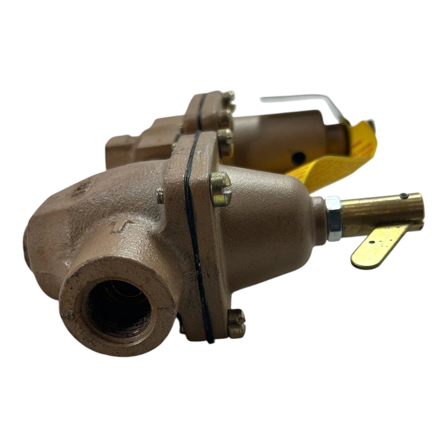 Watts 1450F Marine Iron Fill & Relief Valve for Marine Applications (1/2 In, 15 psi)