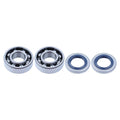 Crankshaft Bearings for Husqvarna 51 55 359 262